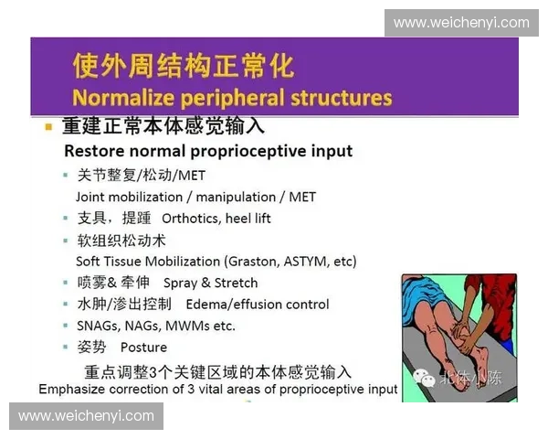 体育体能综合评估体系构建与实用方法研究探索
